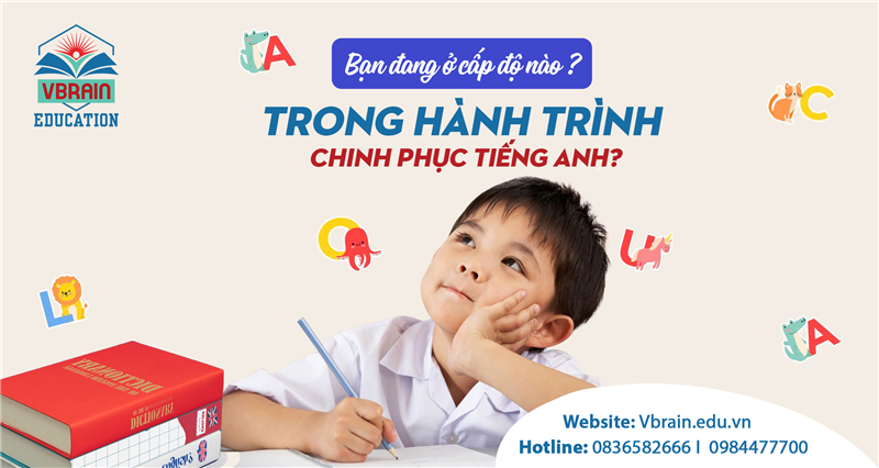 Bạn đang ở cấp độ nào trong hành trình chinh phục tiếng Anh?