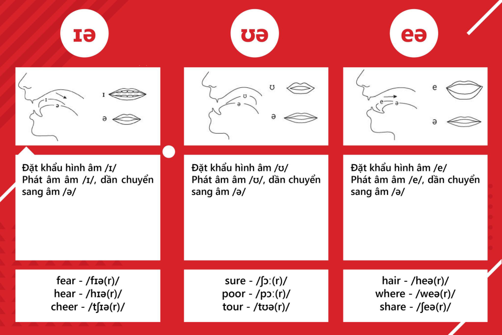 Tổng quan về nguyên âm và phụ âm trong tiếng anh