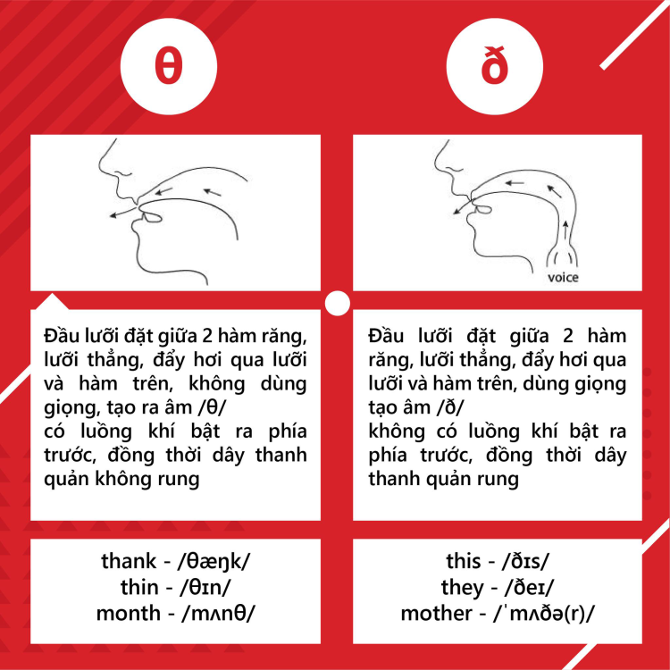 Tổng quan về nguyên âm và phụ âm trong tiếng anh