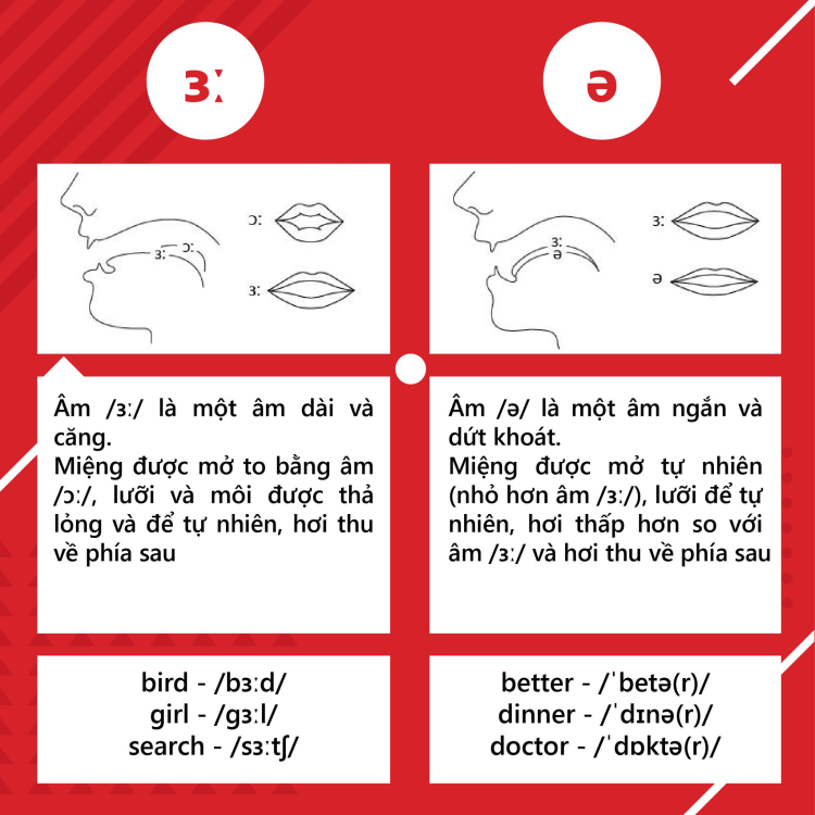 Tổng quan về nguyên âm và phụ âm trong tiếng anh