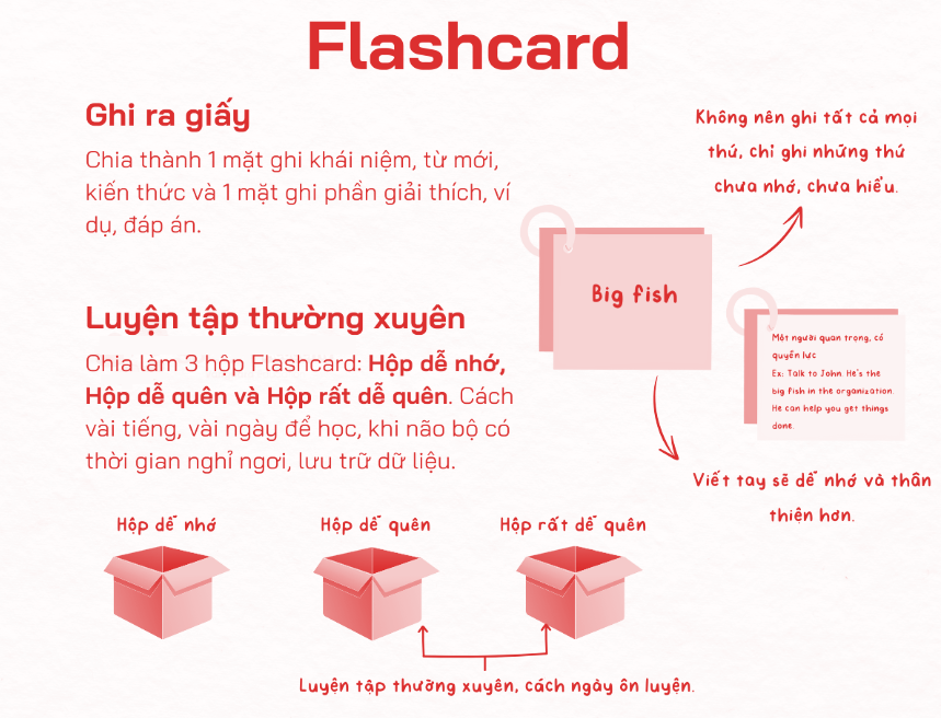 Top khóa học siêu trí nhớ từ vựng tiếng Anh đáng tham gia