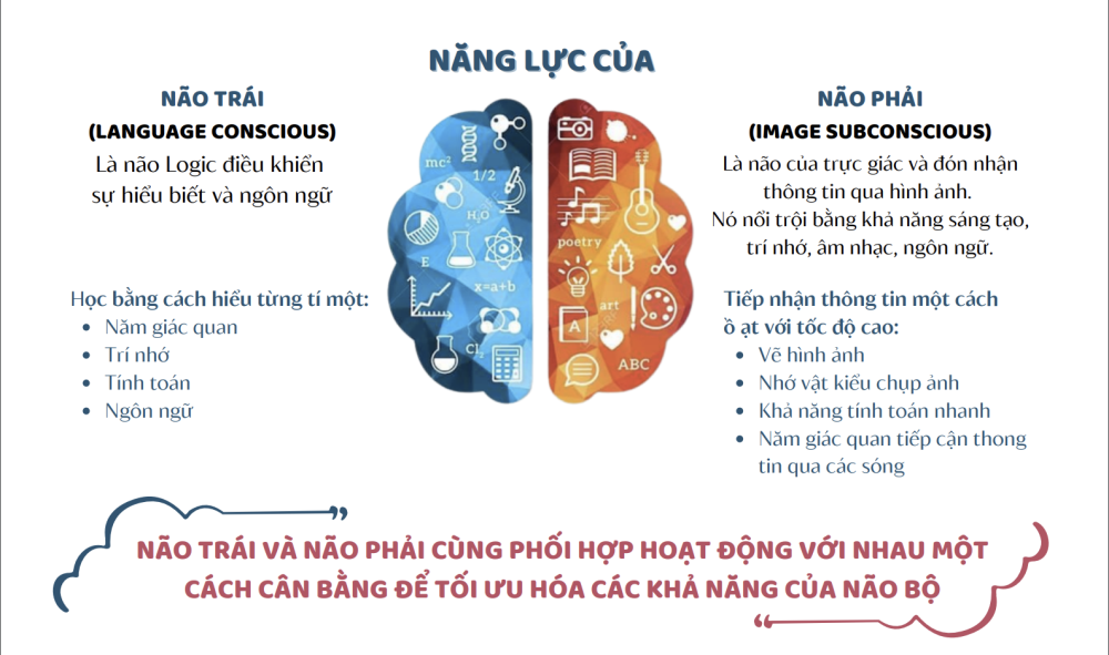 Bé học từ vựng tiếng anh dễ dàng với phương pháp siêu trí nhớ