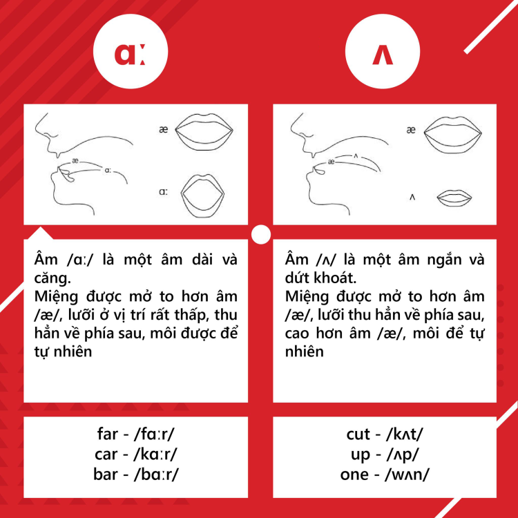 Tổng quan về nguyên âm và phụ âm trong tiếng anh