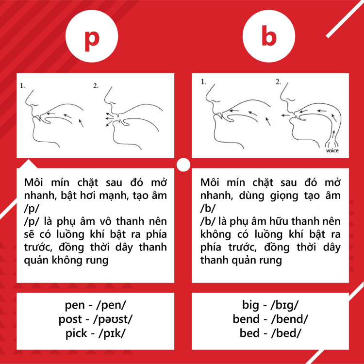 Tổng quan về nguyên âm và phụ âm trong tiếng anh