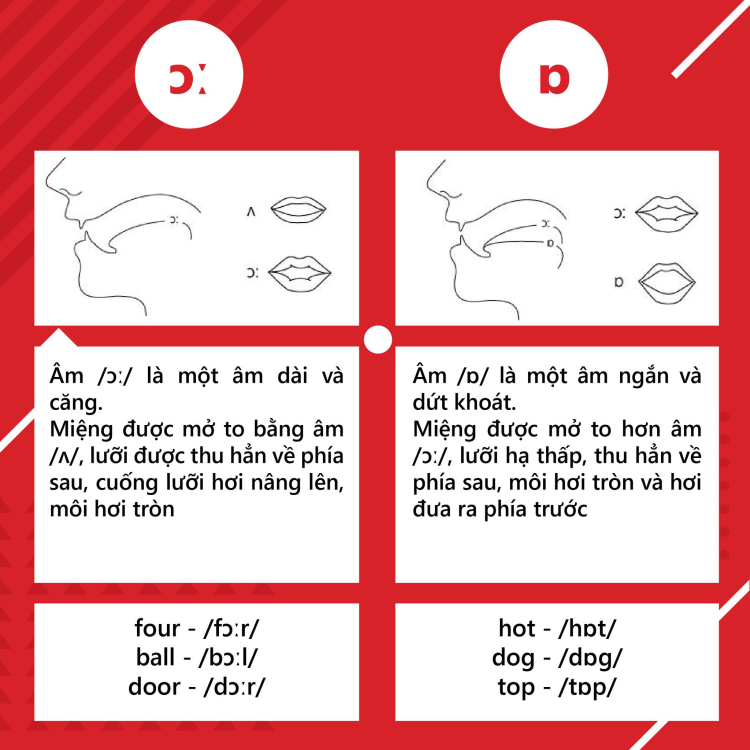 Tổng quan về nguyên âm và phụ âm trong tiếng anh