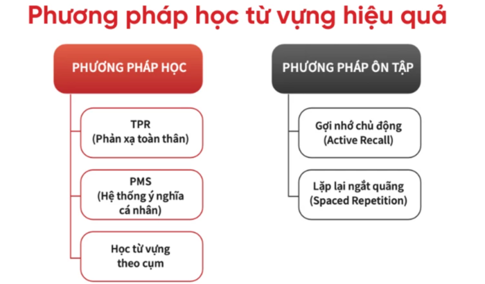 Phương pháp phát triển siêu trí nhớ khi học tiếng anh giao tiếp cơ bản