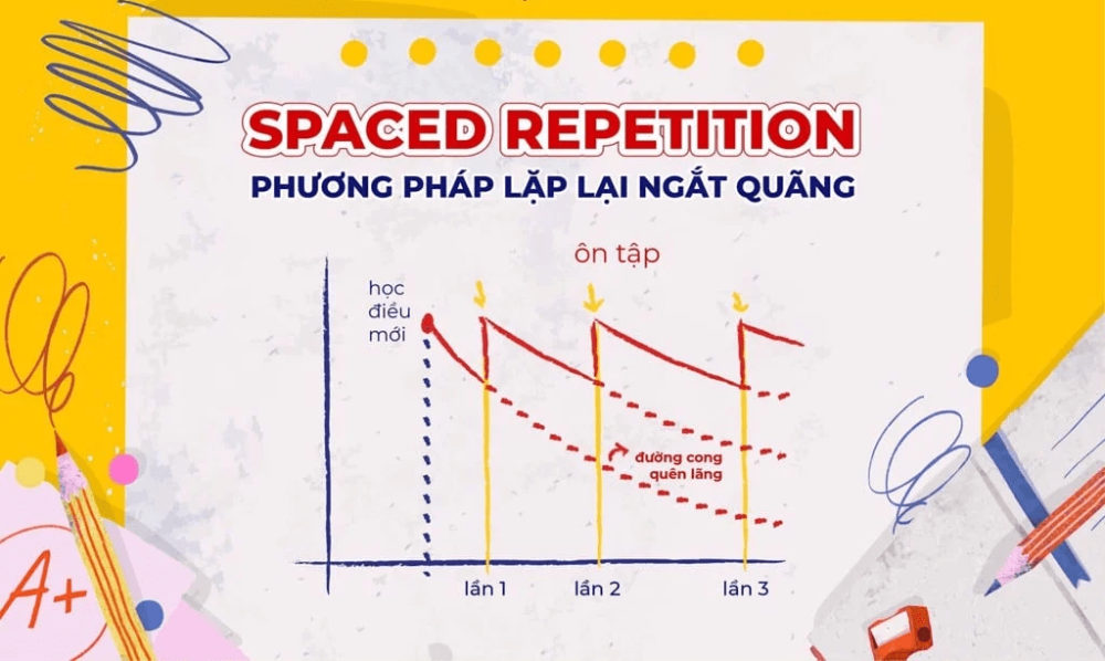Lộ trình và chiến lược học tiếng anh cho người mất gốc