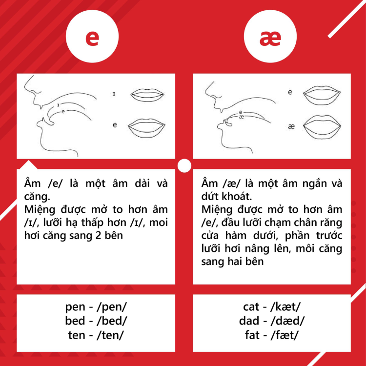 Tổng quan về nguyên âm và phụ âm trong tiếng anh