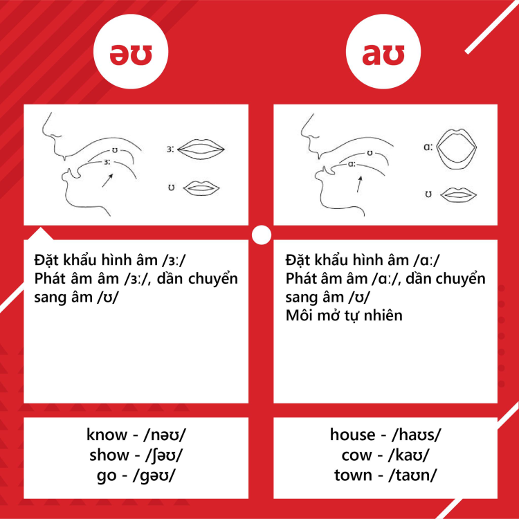 Tổng quan về nguyên âm và phụ âm trong tiếng anh