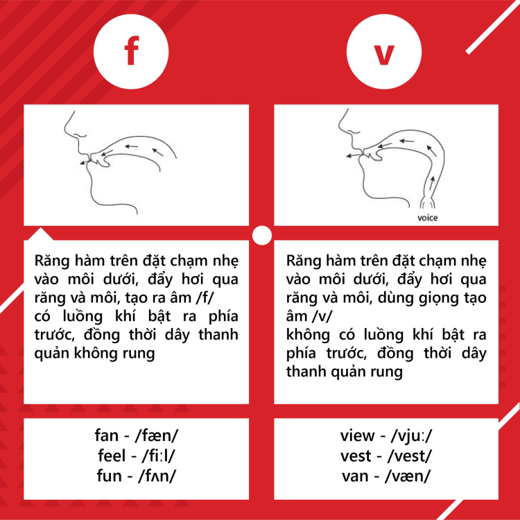 Tổng quan về nguyên âm và phụ âm trong tiếng anh