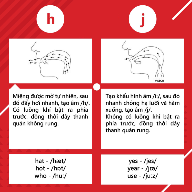 Tổng quan về nguyên âm và phụ âm trong tiếng anh