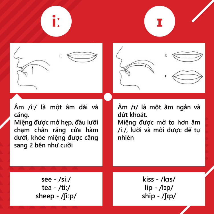 Tổng quan về nguyên âm và phụ âm trong tiếng anh