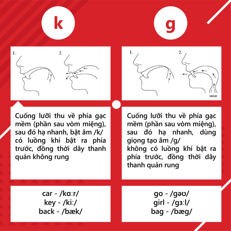 Tổng quan về nguyên âm và phụ âm trong tiếng anh