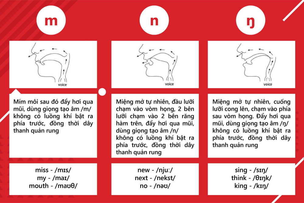 Tổng quan về nguyên âm và phụ âm trong tiếng anh