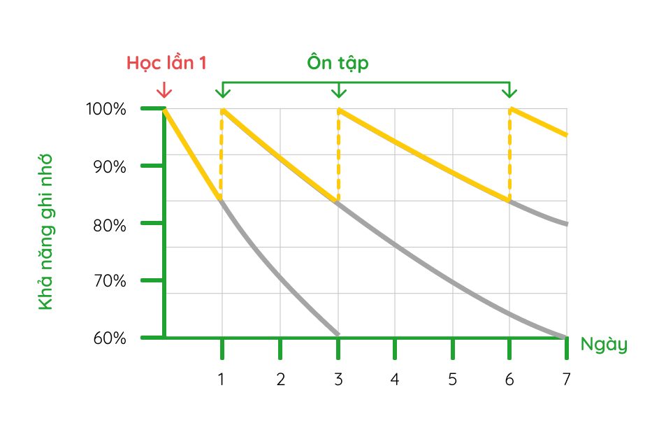 Lộ trình và chiến lược học tiếng anh cho người mất gốc