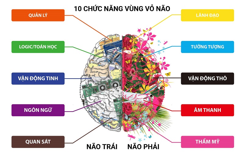Phương pháp phát triển siêu trí nhớ khi học tiếng anh giao tiếp cơ bản