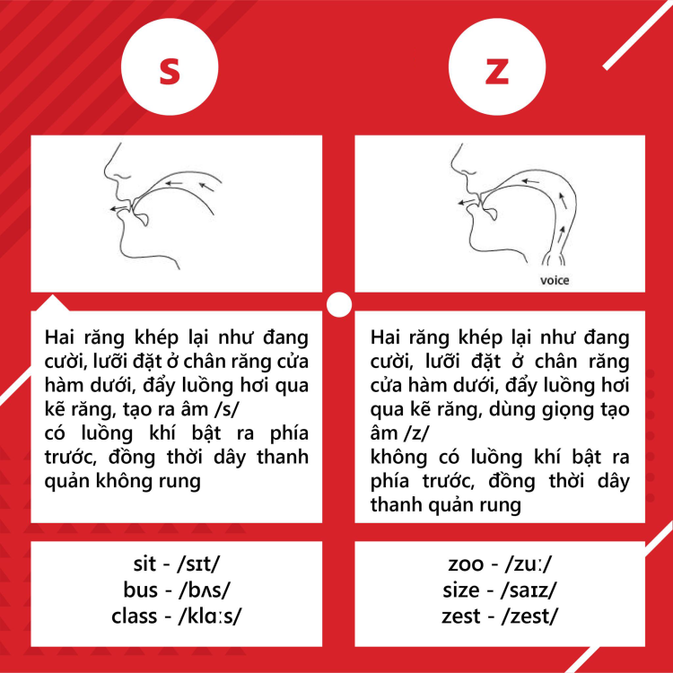 Tổng quan về nguyên âm và phụ âm trong tiếng anh