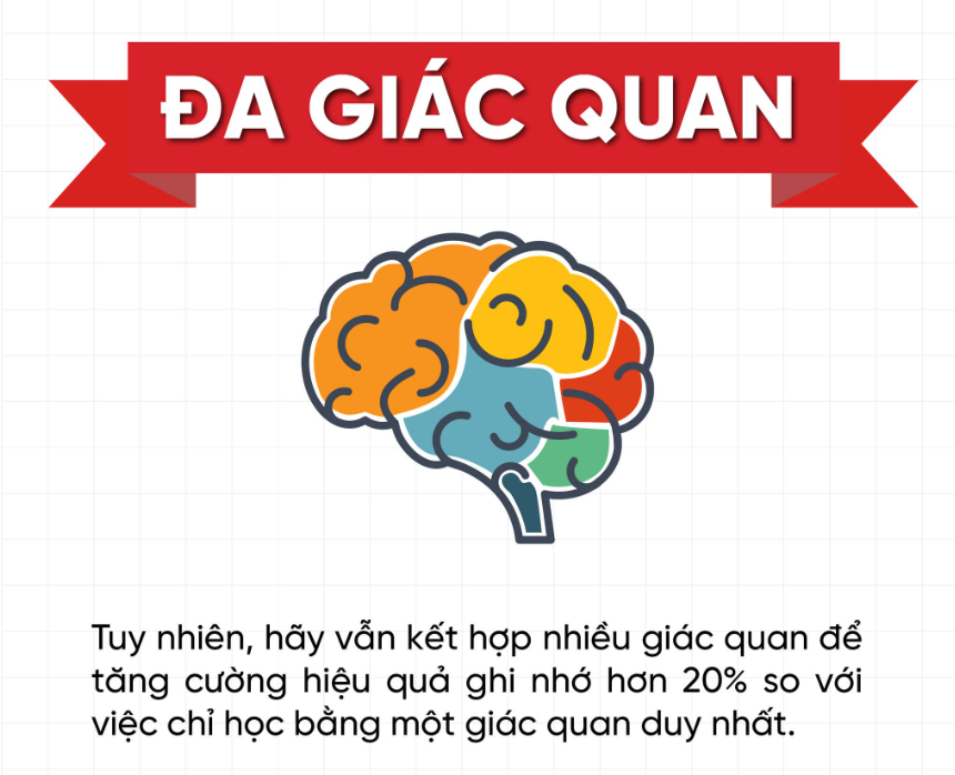 Phương pháp siêu trí nhớ giúp bạn học tiếng Anh hiệu quả hơn bao giờ hết cùng VBrain