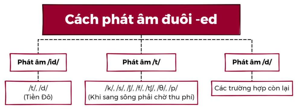 Cách thêm đuôi -ed vào động từ và quy tắc phát âm chuẩn như người bản xứ