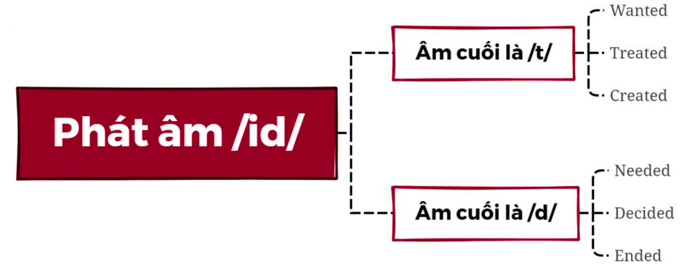 Cách thêm đuôi -ed vào động từ và quy tắc phát âm chuẩn như người bản xứ