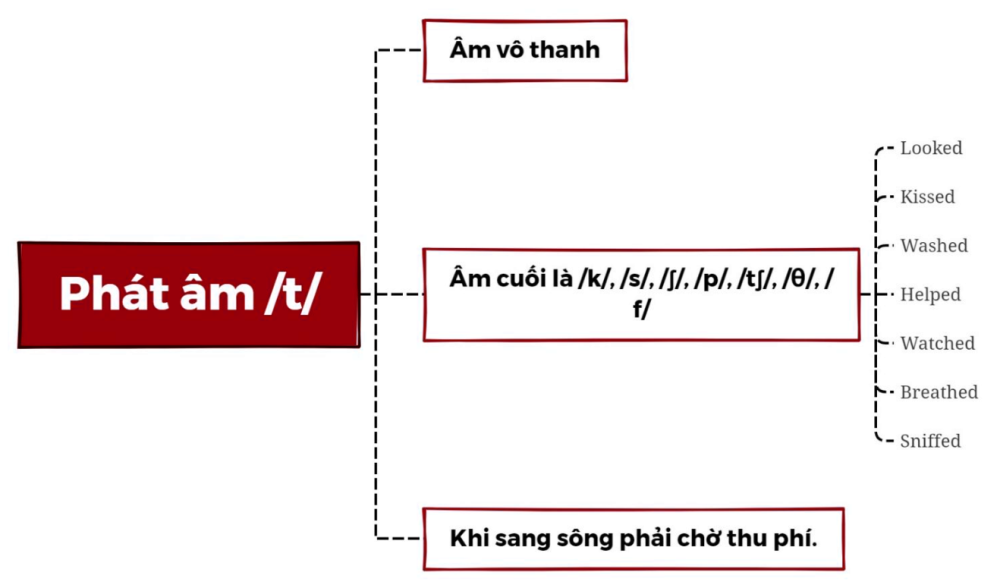 Cách thêm đuôi -ed vào động từ và quy tắc phát âm chuẩn như người bản xứ