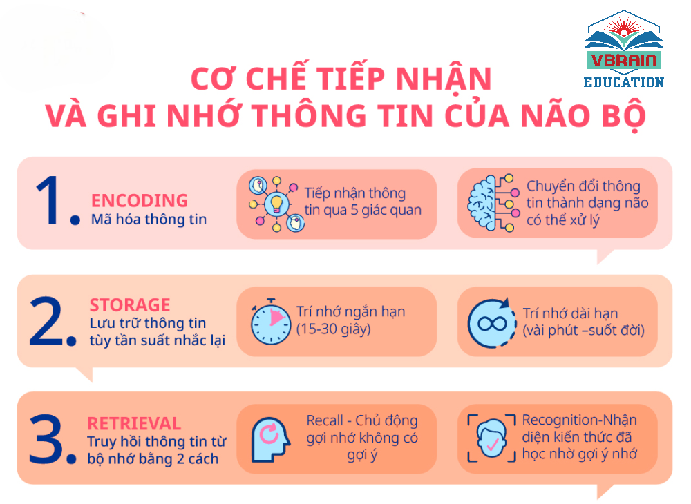 Phương pháp phát triển siêu trí nhớ khi học tiếng anh giao tiếp cơ bản
