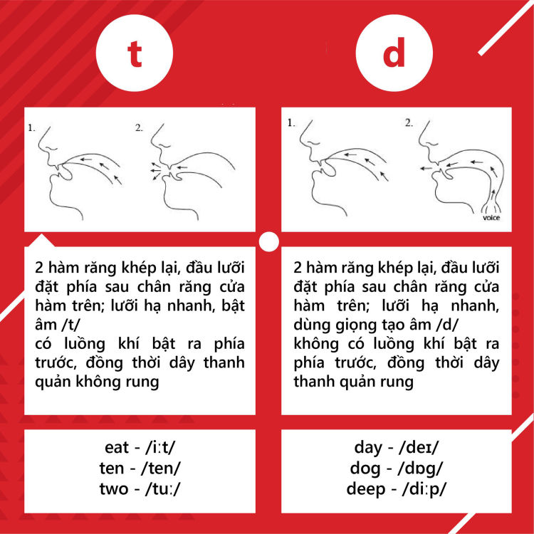 Tổng quan về nguyên âm và phụ âm trong tiếng anh