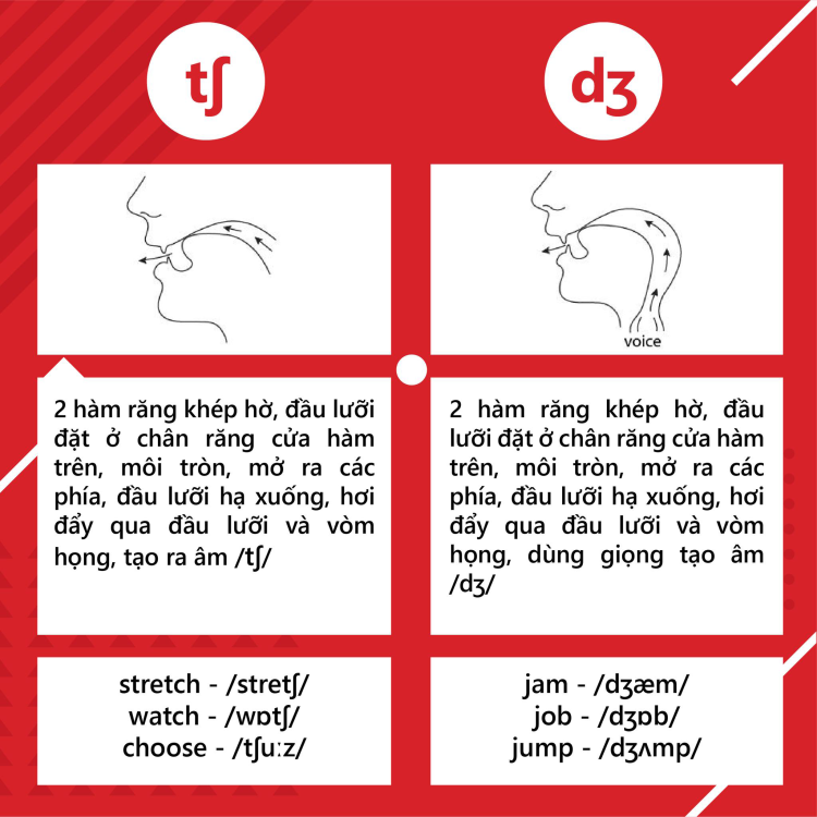 Tổng quan về nguyên âm và phụ âm trong tiếng anh