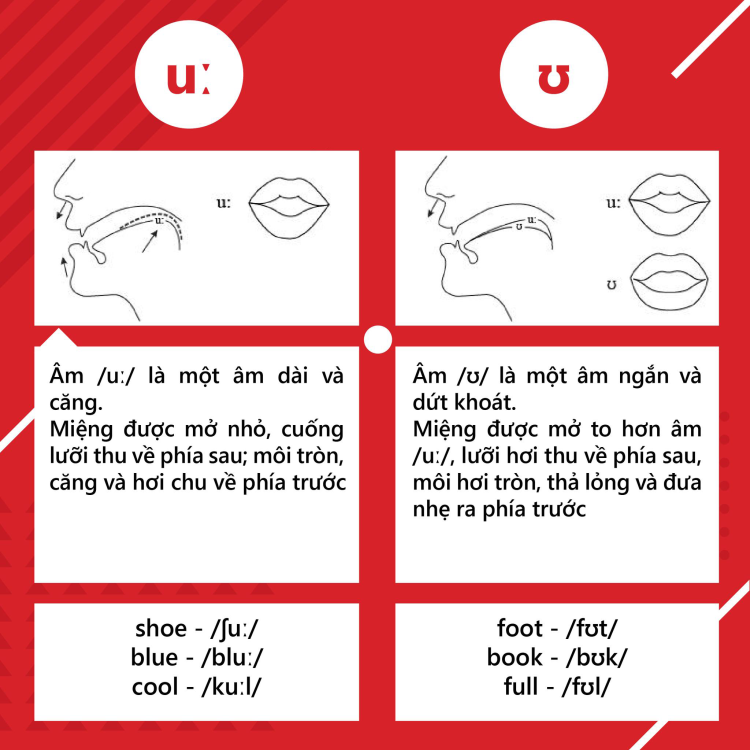 Tổng quan về nguyên âm và phụ âm trong tiếng anh